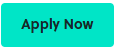 apply now button